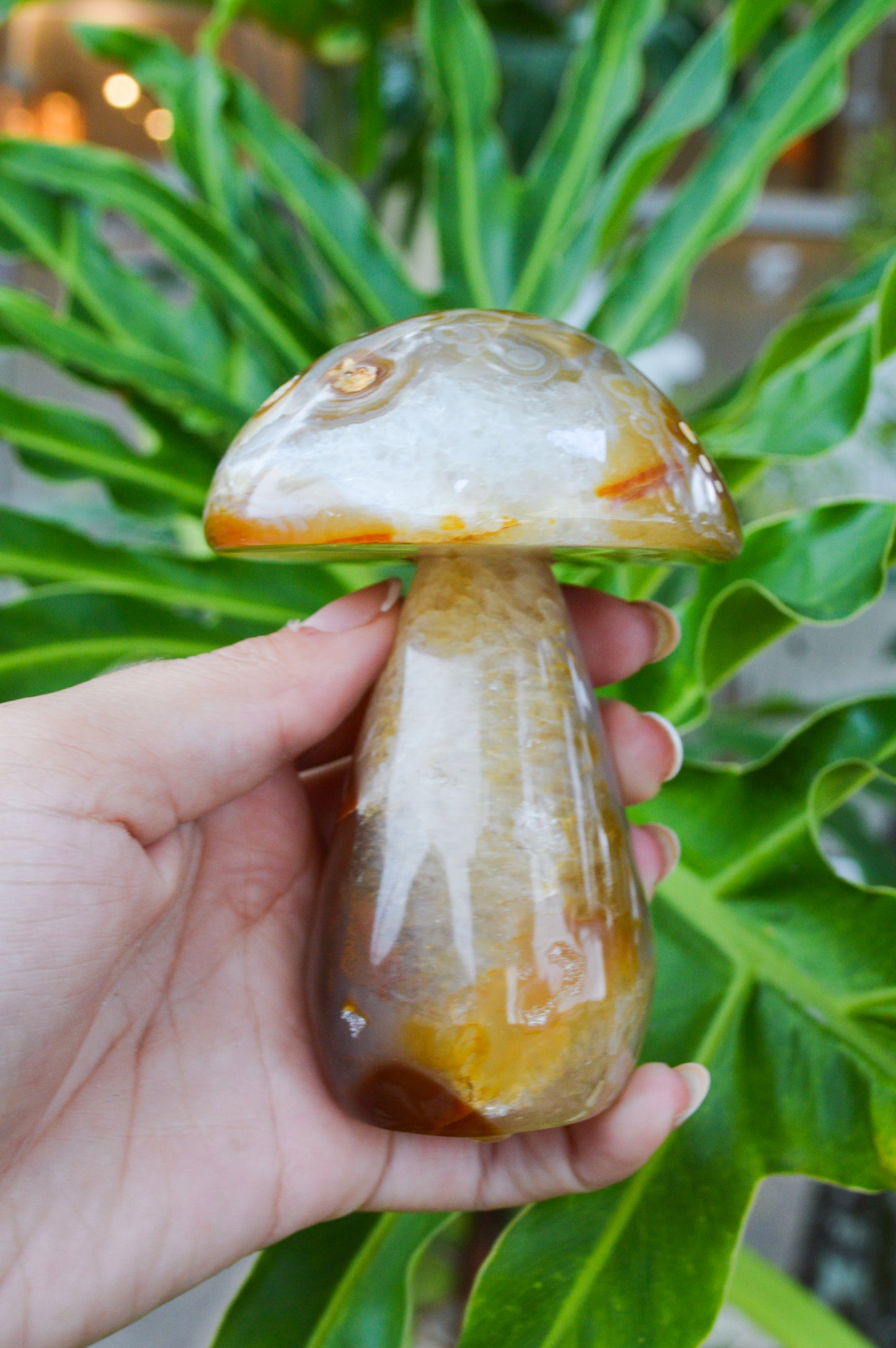 Cogumelo de Ágata