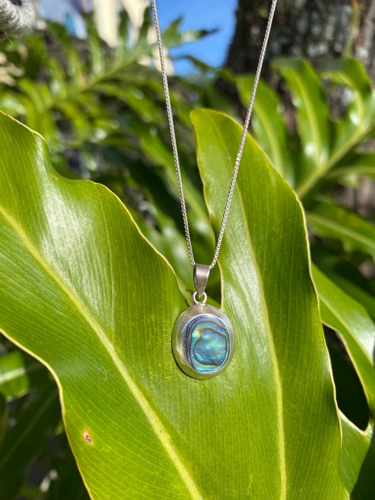 Pingente em Prata 925 Abalone