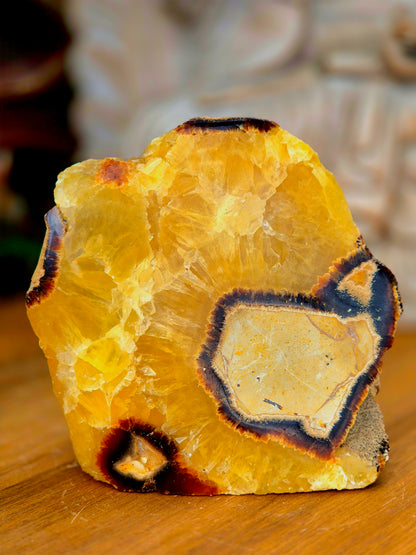 Septariana