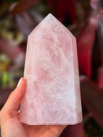 Ponta de Quartzo Rosa