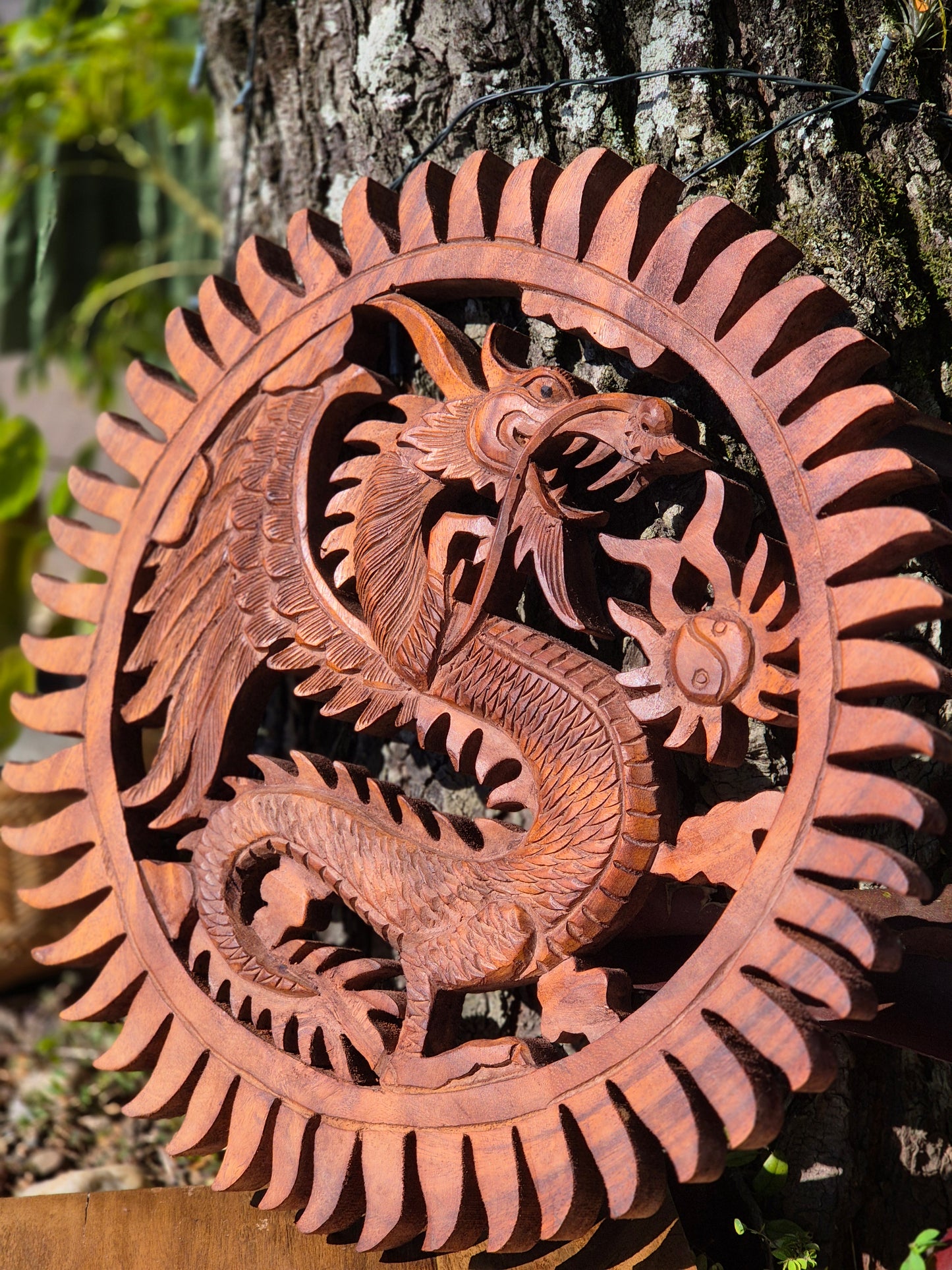 Dragão