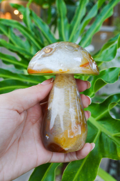 Cogumelo de Ágata