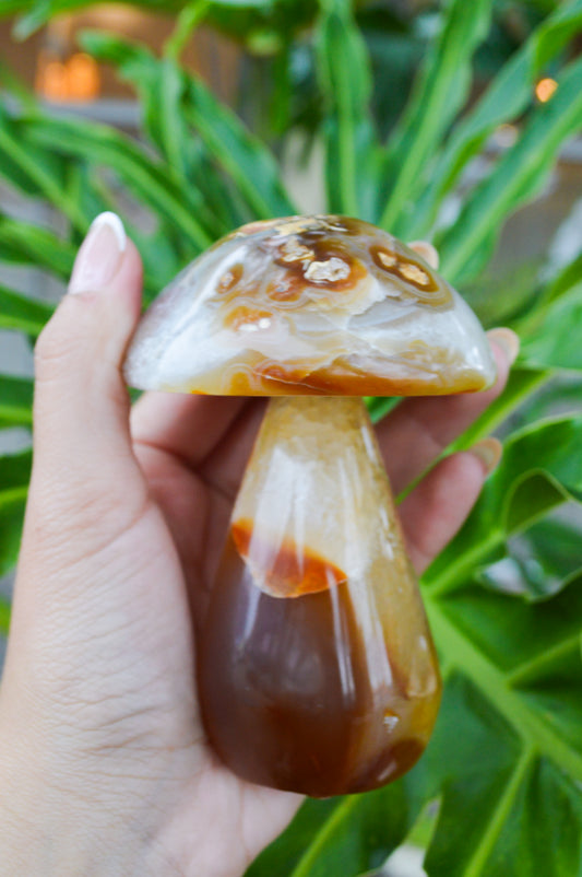 Cogumelo de Ágata