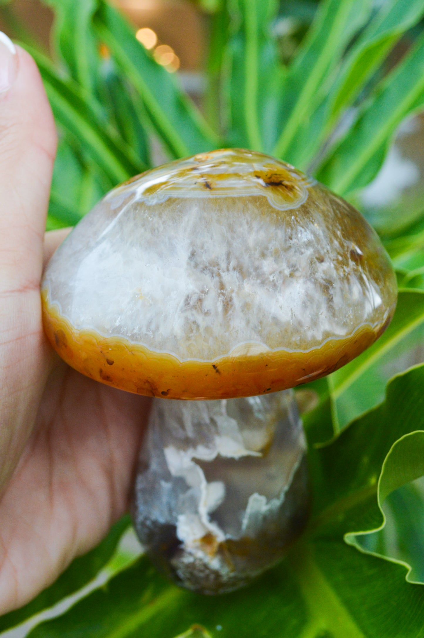 Cogumelo de Ágata