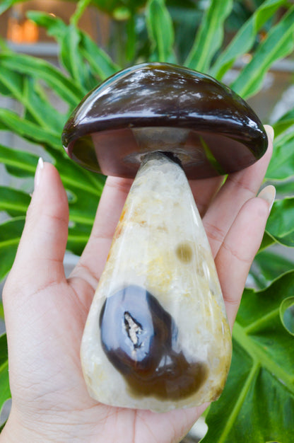 Cogumelo de Ágata