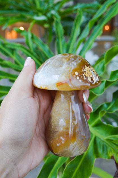 Cogumelo de Ágata