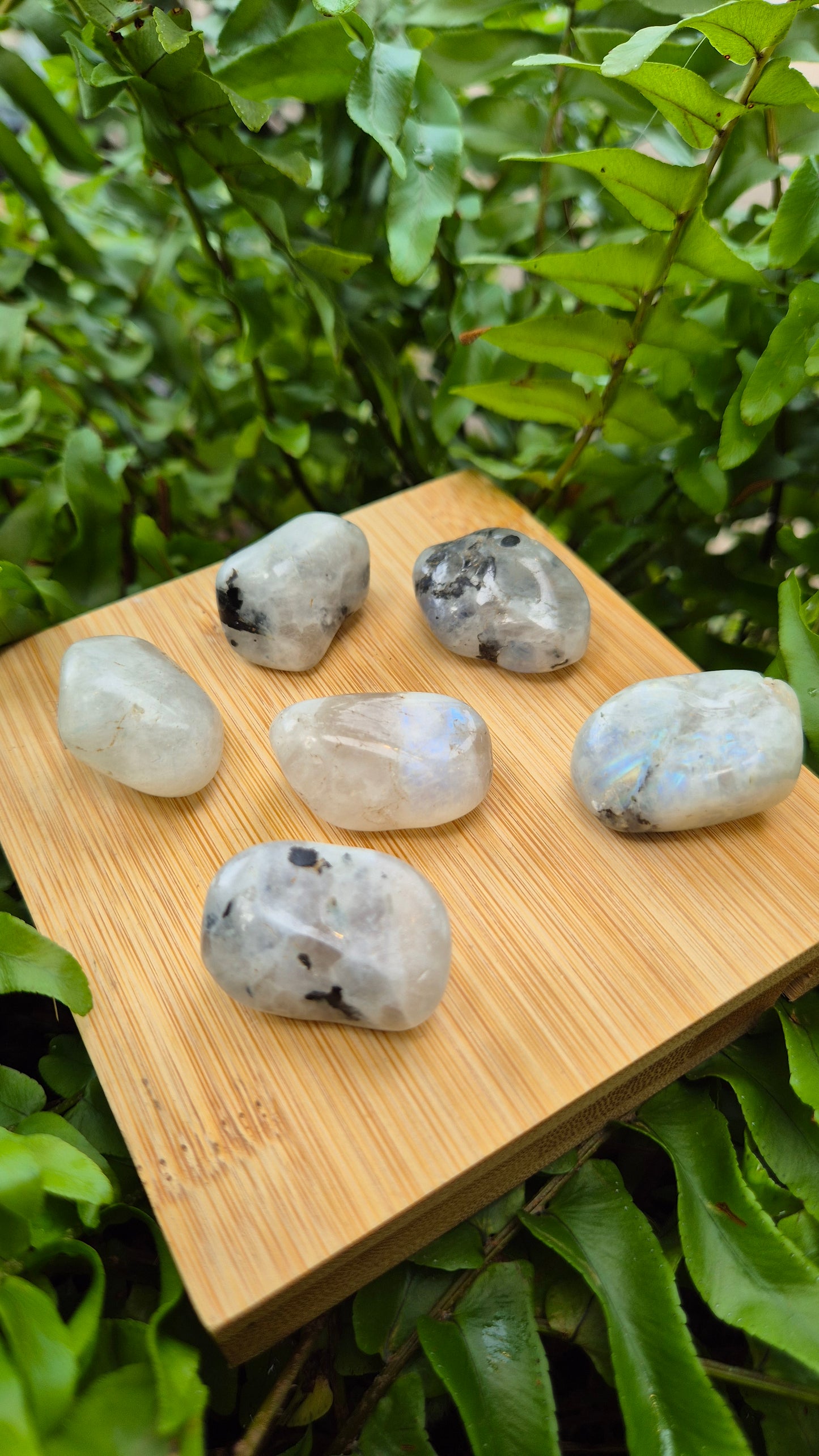 Pedra da Lua Indiana
