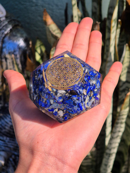 Dodecaedro de Orgonite com Flor da Vida