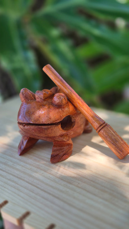 Sapo cantante de Madeira Suar