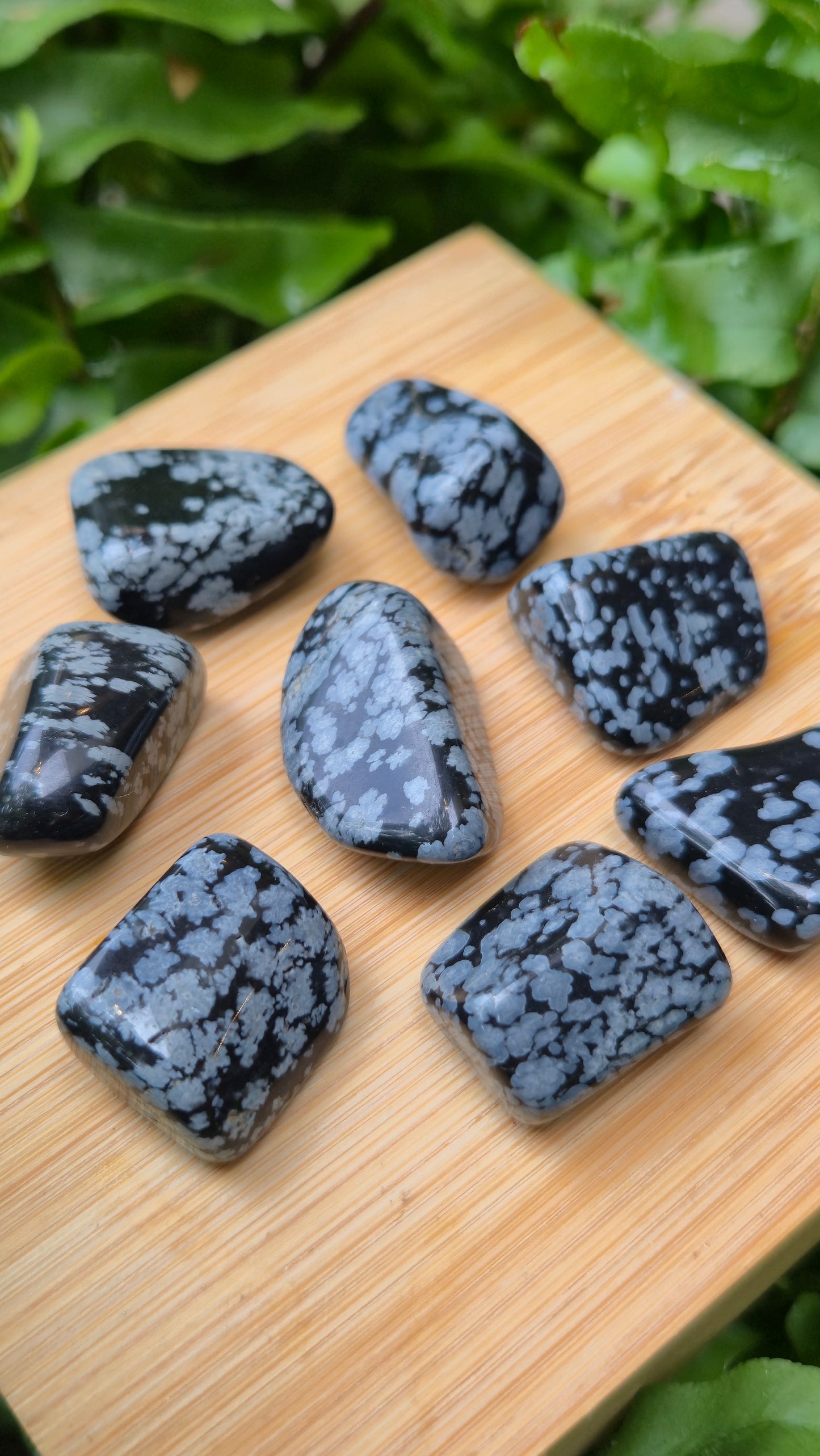 Obsidiana Floco de Neve