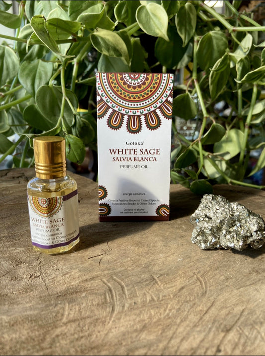 Óleo Perfume Goloka- Sálvia Branca (White Sage)